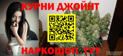 шишки Будённовск