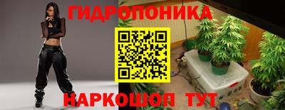прущие крисы Бузулук