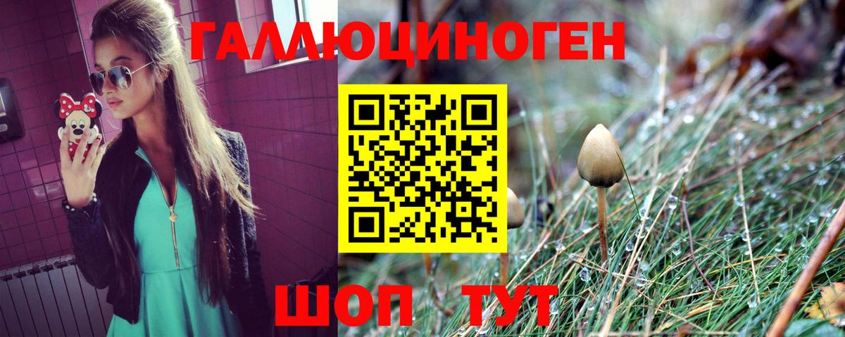 Галлюциногенные грибы Psilocybe Тимашёвск